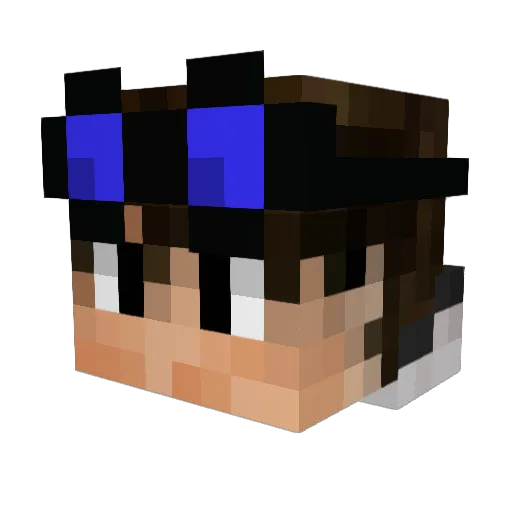 vinix21 Minecraft avatar head, 3D render