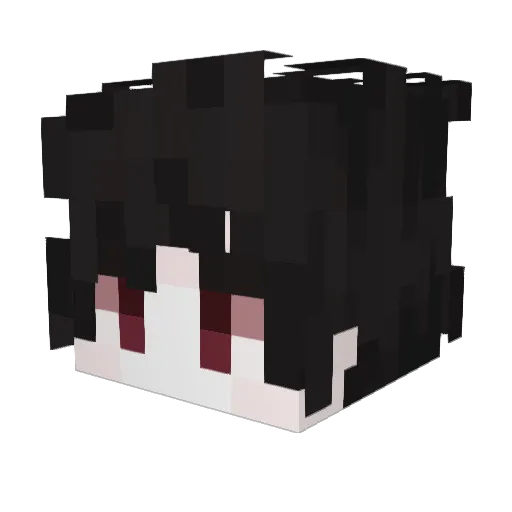 vinniwantstocry Minecraft avatar head, 3D render