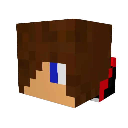 vinnyboyawesome Minecraft avatar head, 3D render