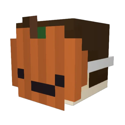 vintagedoctor Minecraft avatar head, 3D render