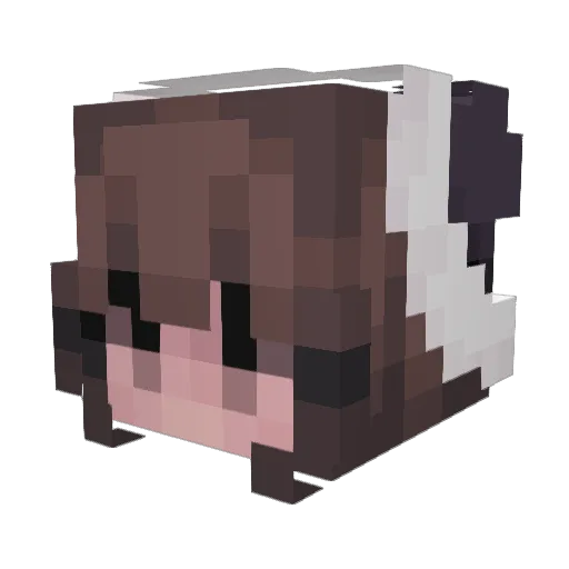 vinx909 Minecraft avatar head, 3D render