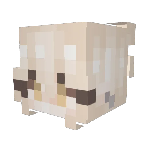 vioIet12 Minecraft avatar head, 3D render