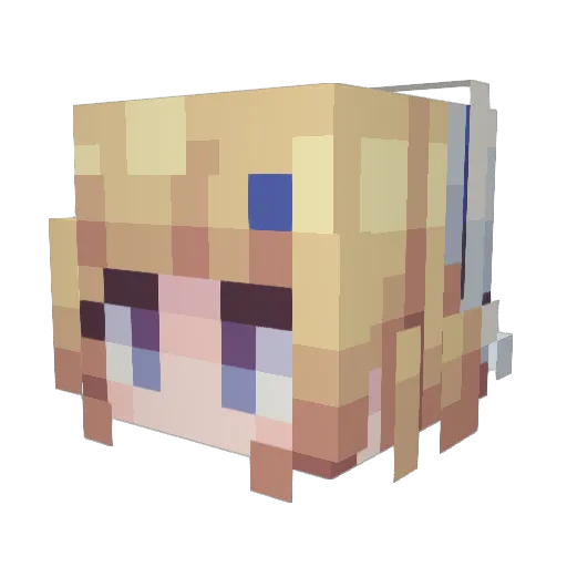 vio_Evan Minecraft avatar head, 3D render