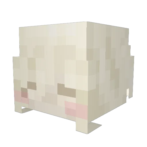 vioexi Minecraft avatar head, 3D render