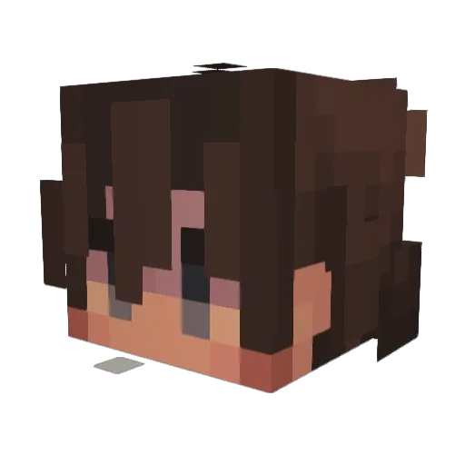 violentgrim Minecraft avatar head, 3D render