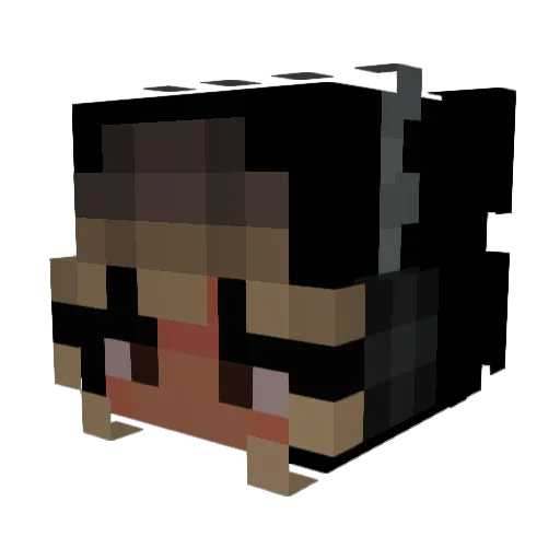violet_starrz Minecraft avatar head, 3D render