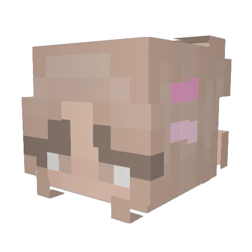 violetflorence Minecraft avatar head, 3D render