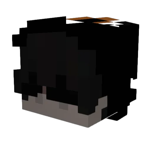 vipexxx_ Minecraft avatar head, 3D render
