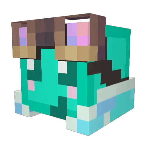 vipskanara Minecraft avatar head, 3D render