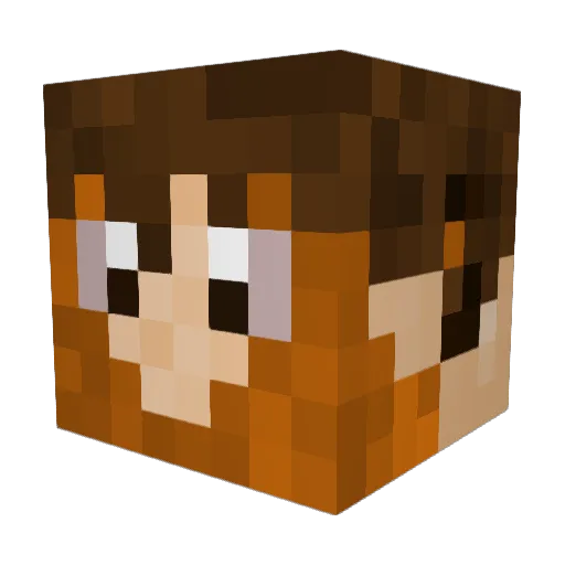 viptour9 Minecraft avatar head, 3D render