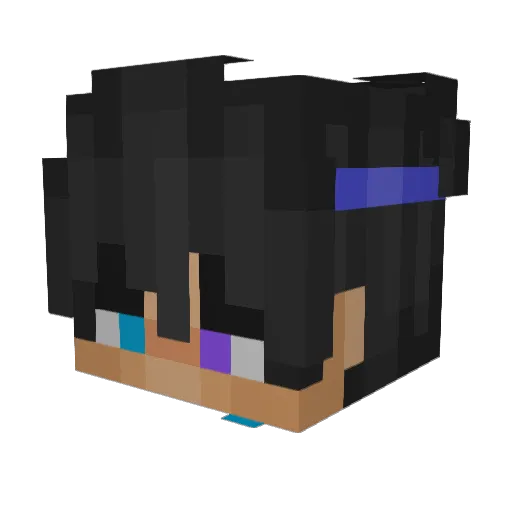 viqa_ Minecraft avatar head, 3D render