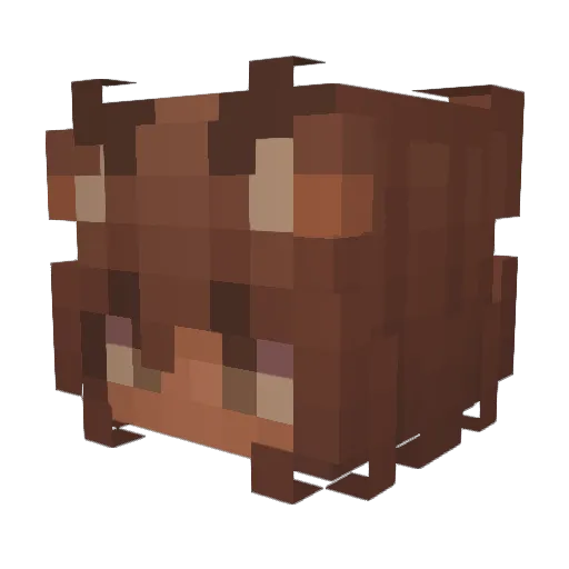 viraille Minecraft avatar head, 3D render