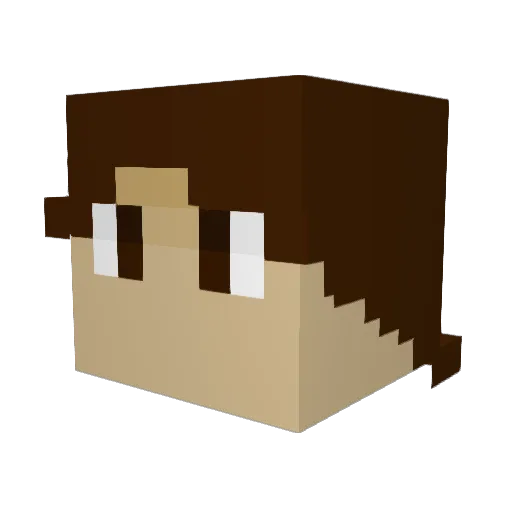viralmeningitis Minecraft avatar head, 3D render
