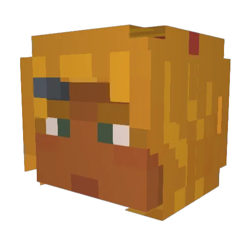 virgostar_ Minecraft avatar head, 3D render