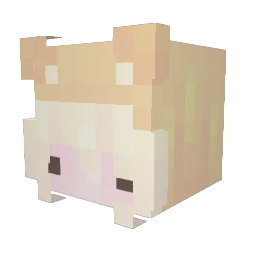 virlyn Minecraft avatar head, 3D render