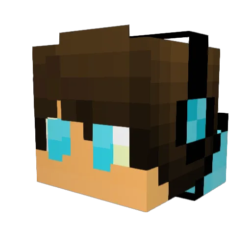 virtahepo5480 Minecraft avatar head, 3D render