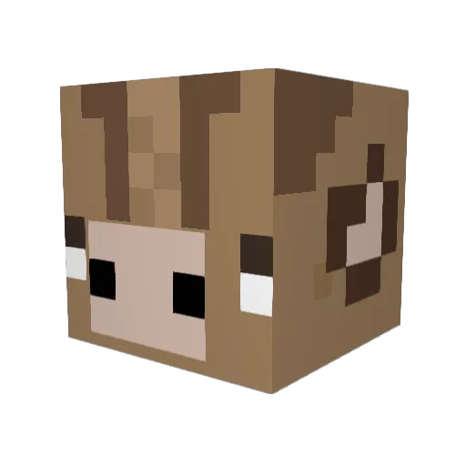 virtual_vegan_ Minecraft avatar head, 3D render