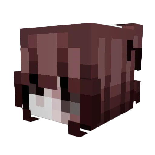 virtualchild Minecraft avatar head, 3D render