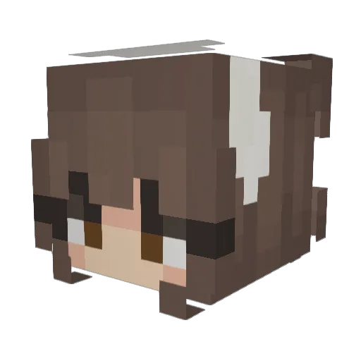 virtualvix Minecraft avatar head, 3D render