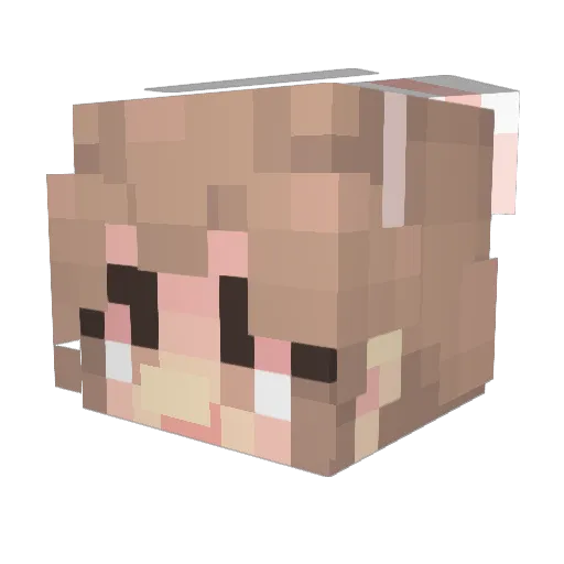 viruru Minecraft avatar head, 3D render