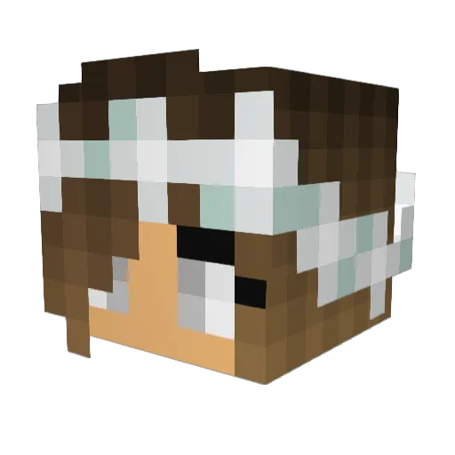 virusboy Minecraft avatar head, 3D render