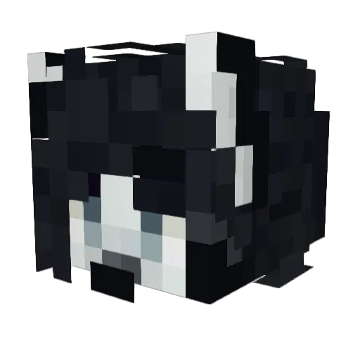 viruspup Minecraft avatar head, 3D render