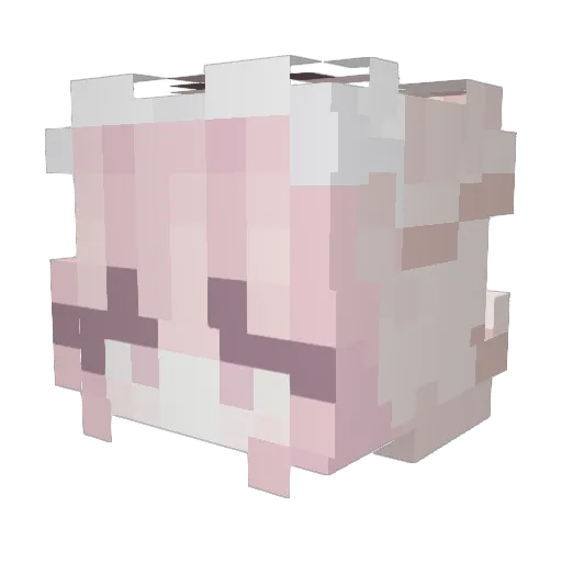 visao Minecraft avatar head, 3D render