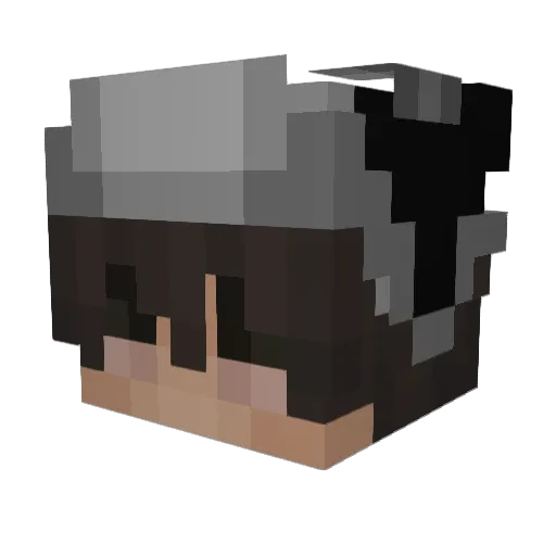 visiongone Minecraft avatar head, 3D render