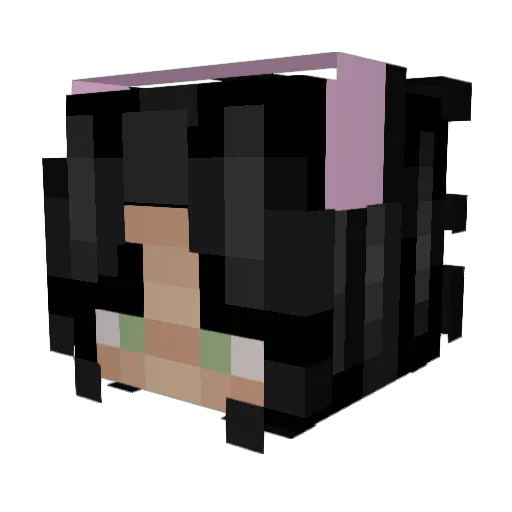 visioniccc Minecraft avatar head, 3D render