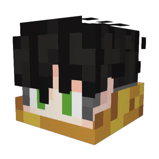 Minecraft-Avatar von visiting_mouse: Kopf als 3D-Render
