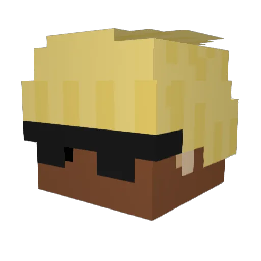 vistaprint Minecraft avatar head, 3D render
