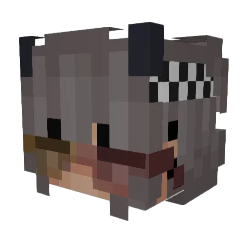 vistarry Minecraft avatar head, 3D render