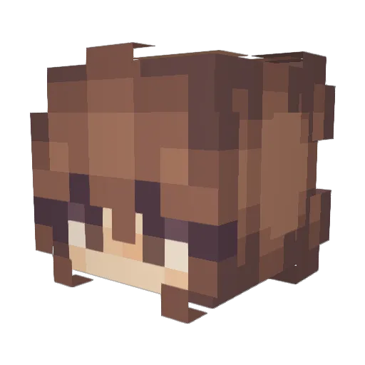 vitaminketchup Minecraft avatar head, 3D render