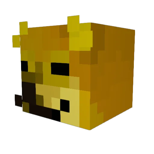 vitaminmoon Minecraft avatar head, 3D render