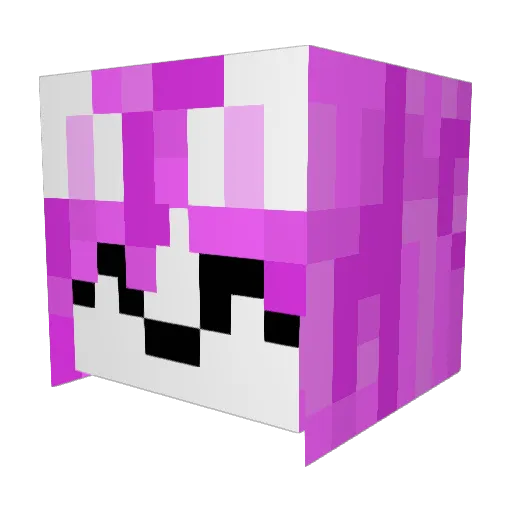 vitasomething Minecraft avatar head, 3D render