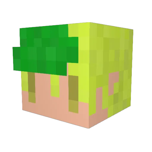vitchan Minecraft avatar head, 3D render
