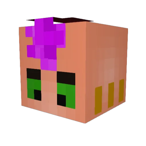 vitocr8 Minecraft avatar head, 3D render