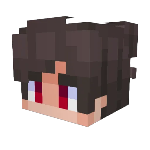 vitor_0909 Minecraft avatar head, 3D render