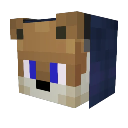 vitor_rex Minecraft avatar head, 3D render