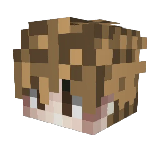 vitormax00 Minecraft avatar head, 3D render