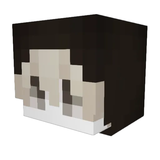 vitorpalkia Minecraft avatar head, 3D render