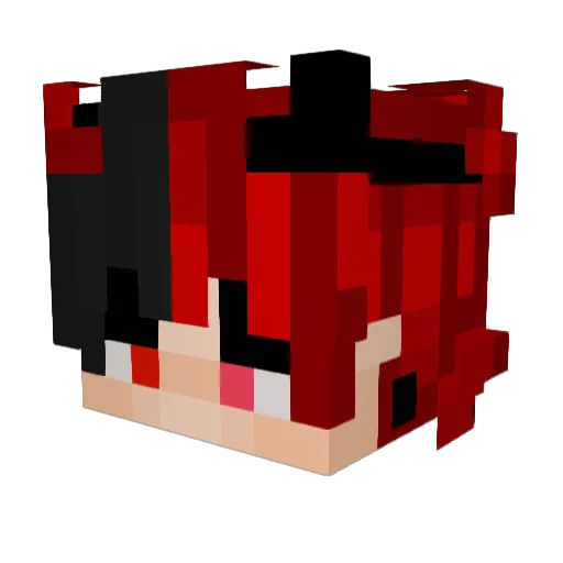 vittingamepray Minecraft avatar head, 3D render