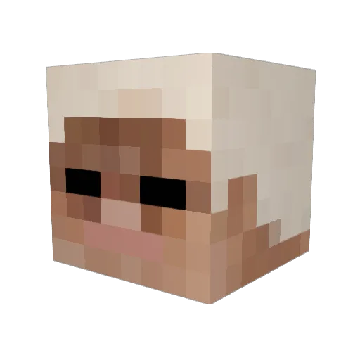 vittodome Minecraft avatar head, 3D render