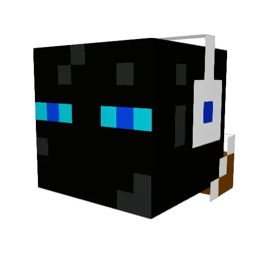 vityaplaywin Minecraft avatar head, 3D render