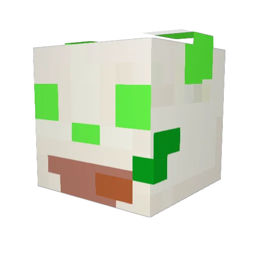 vitz0809 Minecraft avatar head, 3D render