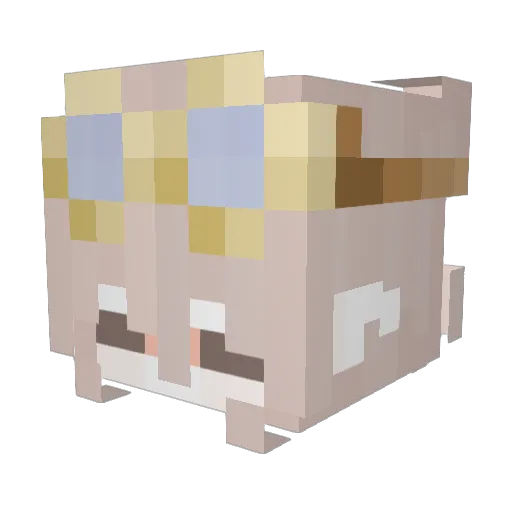 viuhti Minecraft avatar head, 3D render
