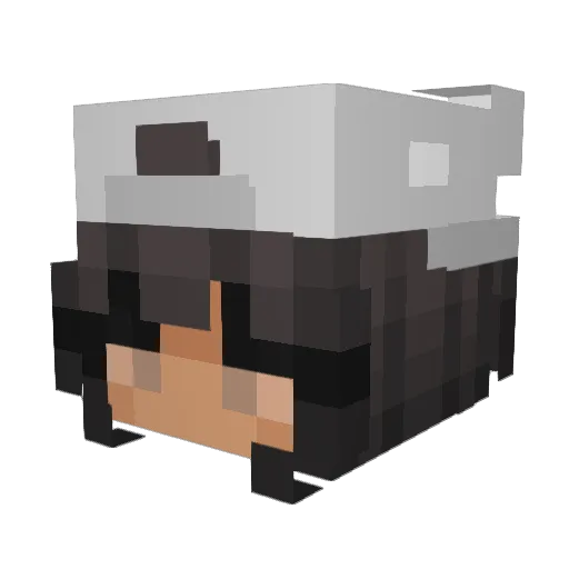 viva1777 Minecraft avatar head, 3D render