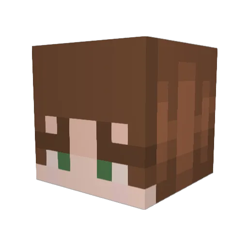 vivadillo Minecraft avatar head, 3D render
