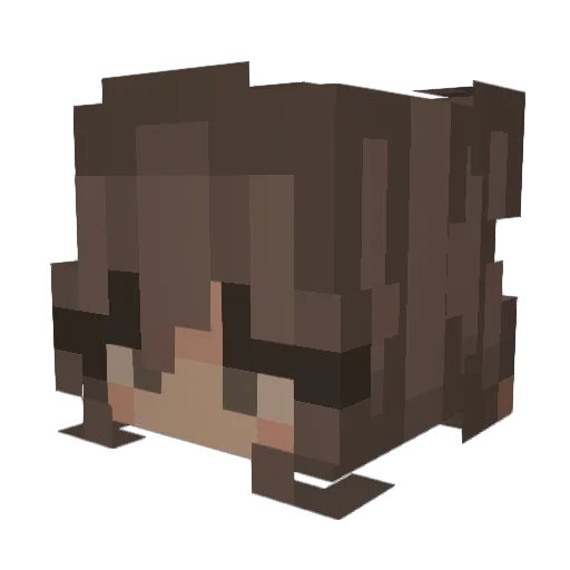 vivbrator11 Minecraft avatar head, 3D render