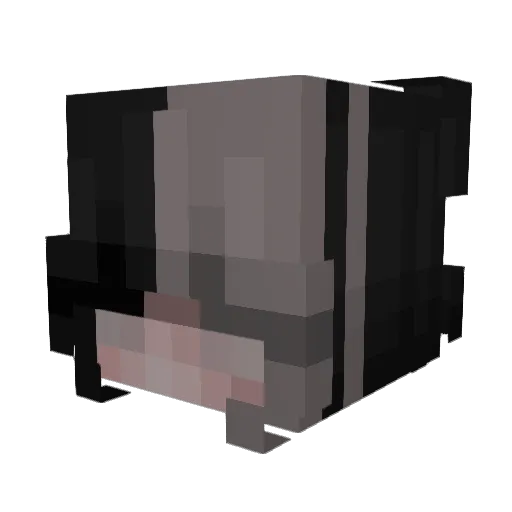 vivi_oncrack Minecraft avatar head, 3D render